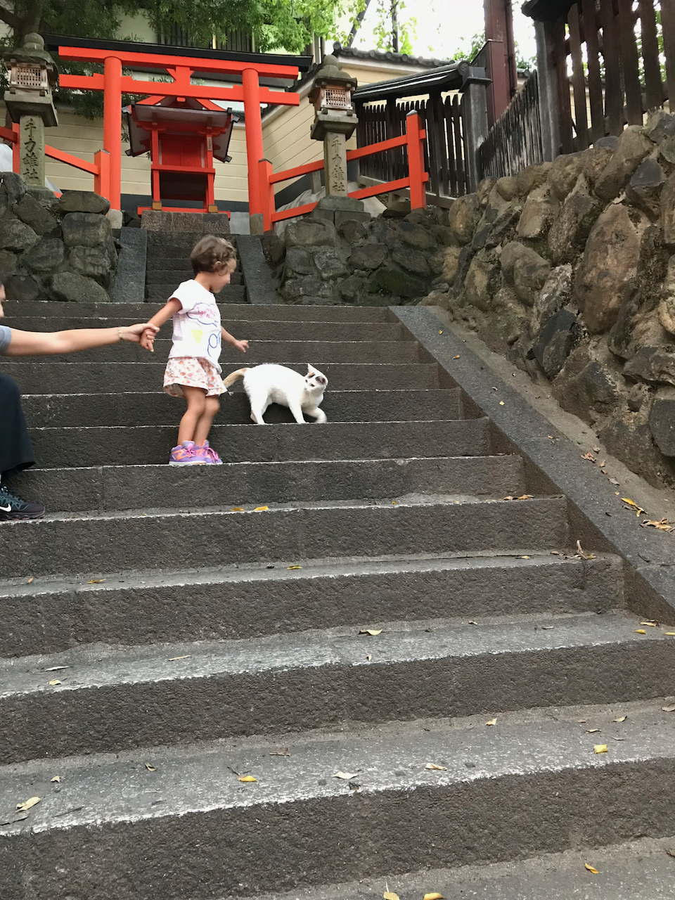 中谷堂旁边 - 小女孩与猫
